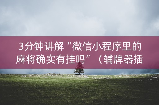 3分钟讲解“微信小程序里的麻将确实有挂吗”（辅牌器插件购买)