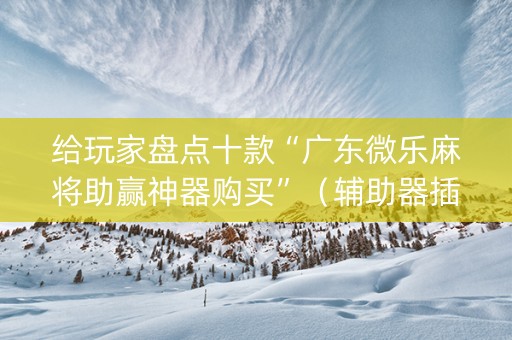 给玩家盘点十款“广东微乐麻将助赢神器购买”（辅助器插件)