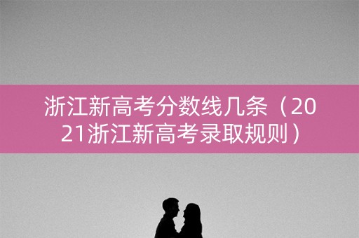 浙江新高考分数线几条（2021浙江新高考录取规则）
