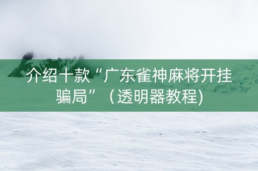 介绍十款“广东雀神麻将开挂骗局”（透明器教程)