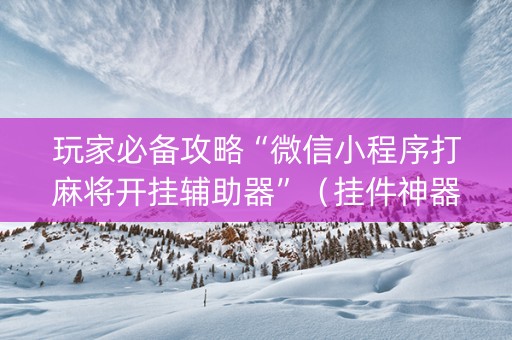 玩家必备攻略“微信小程序打麻将开挂辅助器”（挂件神器)