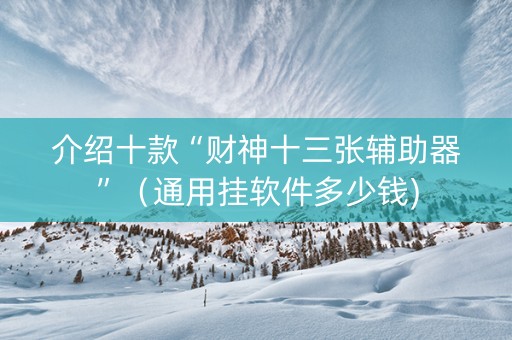 介绍十款“财神十三张辅助器”（通用挂软件多少钱)