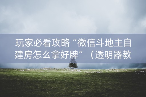 玩家必看攻略“微信斗地主自建房怎么拿好牌”（透明器教程)