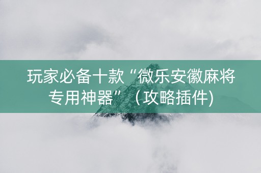 玩家必备十款“微乐安徽麻将专用神器”（攻略插件)