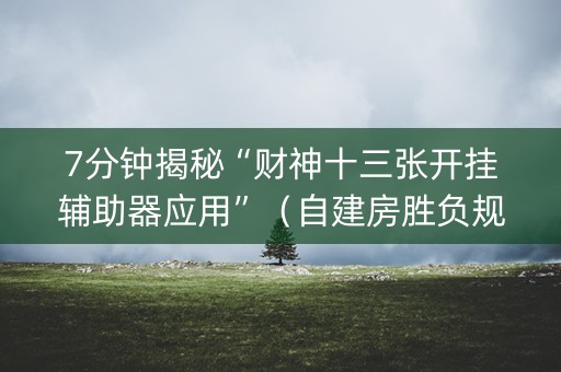 7分钟揭秘“财神十三张开挂辅助器应用”（自建房胜负规律)
