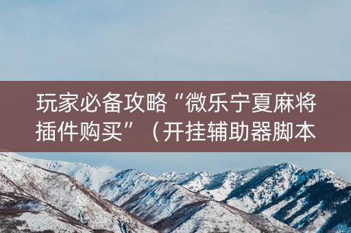 玩家必备攻略“微乐宁夏麻将插件购买”（开挂辅助器脚本)