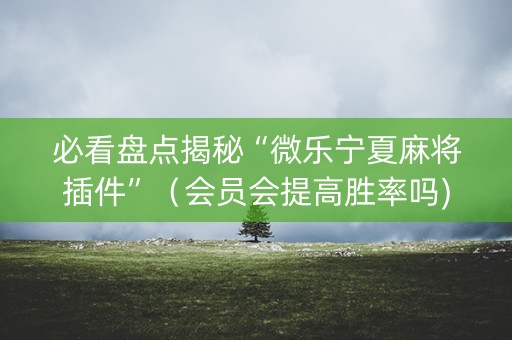 必看盘点揭秘“微乐宁夏麻将插件”（会员会提高胜率吗)