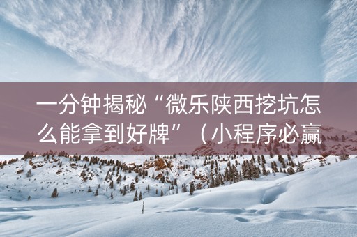 一分钟揭秘“微乐陕西挖坑怎么能拿到好牌”（小程序必赢神器)
