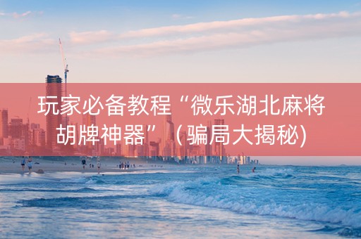 玩家必备教程“微乐湖北麻将胡牌神器”（骗局大揭秘)