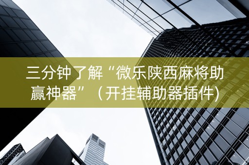 三分钟了解“微乐陕西麻将助赢神器”（开挂辅助器插件)