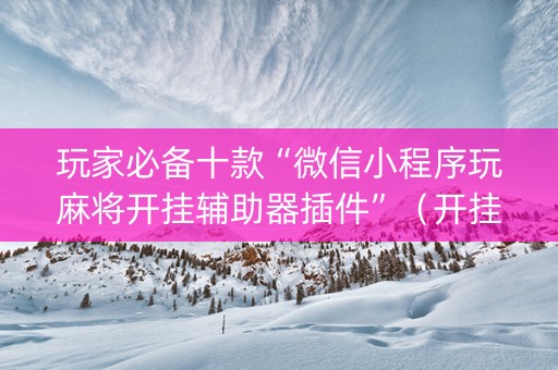 玩家必备十款“微信小程序玩麻将开挂辅助器插件”（开挂辅助脚本)