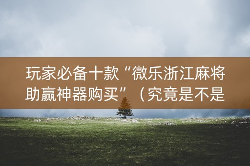 玩家必备十款“微乐浙江麻将助赢神器购买”（究竟是不是有挂)