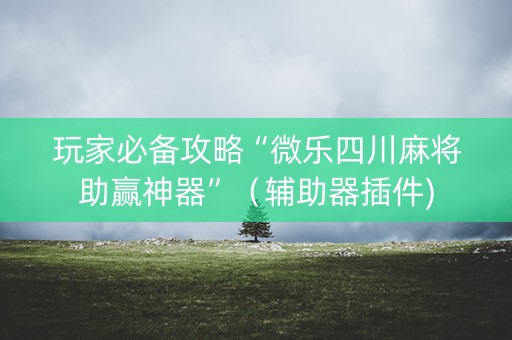 玩家必备攻略“微乐四川麻将助赢神器”（辅助器插件)