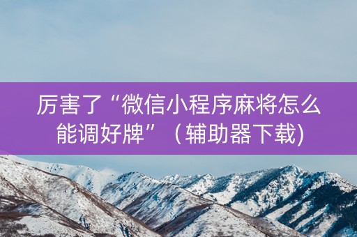 厉害了“微信小程序麻将怎么能调好牌”（辅助器下载)