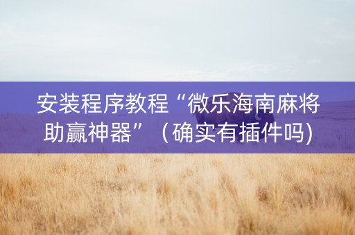 安装程序教程“微乐海南麻将助赢神器”（确实有插件吗)