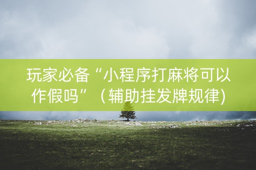 玩家必备“小程序打麻将可以作假吗”（辅助挂发牌规律)