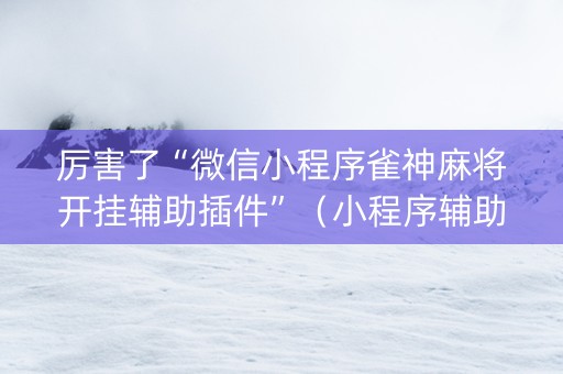 厉害了“微信小程序雀神麻将开挂辅助插件”（小程序辅助软件)