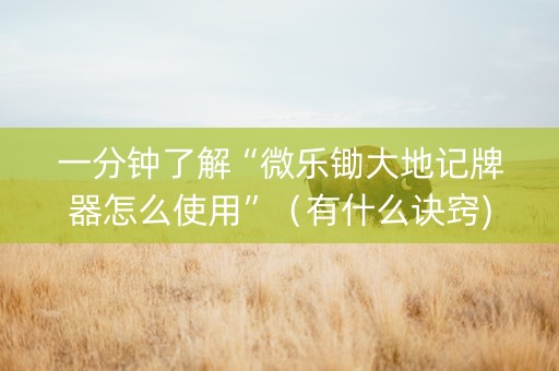 一分钟了解“微乐锄大地记牌器怎么使用”（有什么诀窍)