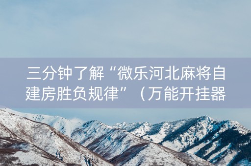 三分钟了解“微乐河北麻将自建房胜负规律”（万能开挂器)