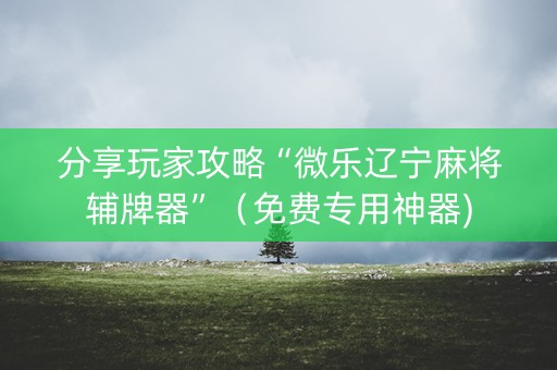 分享玩家攻略“微乐辽宁麻将辅牌器”（免费专用神器)