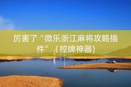厉害了“微乐浙江麻将攻略插件”（控牌神器)