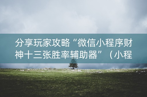 分享玩家攻略“微信小程序财神十三张胜率辅助器”（小程序怎么才会赢)