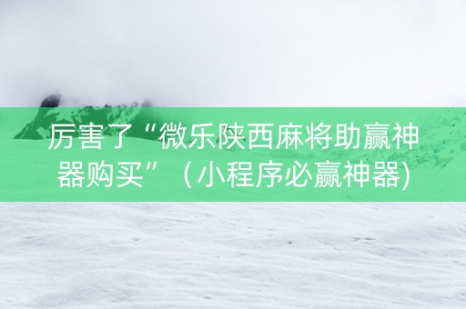 厉害了“微乐陕西麻将助赢神器购买”（小程序必赢神器)