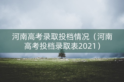 河南高考录取投档情况（河南高考投档录取表2021）