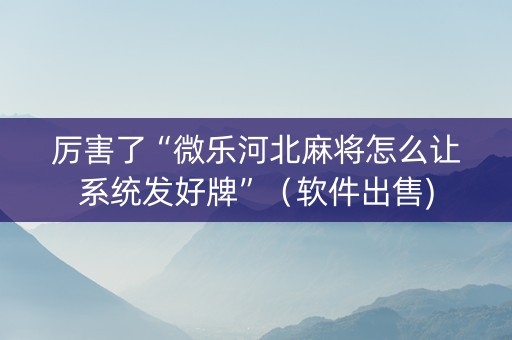 厉害了“微乐河北麻将怎么让系统发好牌”（软件出售)