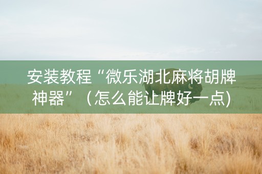安装教程“微乐湖北麻将胡牌神器”（怎么能让牌好一点)