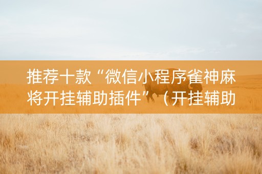 推荐十款“微信小程序雀神麻将开挂辅助插件”（开挂辅助器脚本)