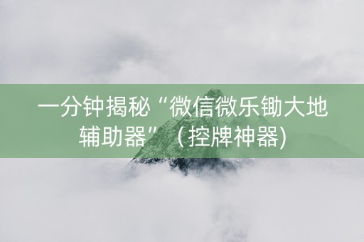 一分钟揭秘“微信微乐锄大地辅助器”（控牌神器)