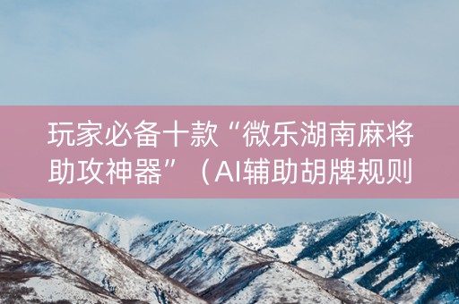 玩家必备十款“微乐湖南麻将助攻神器”（AI辅助胡牌规则)