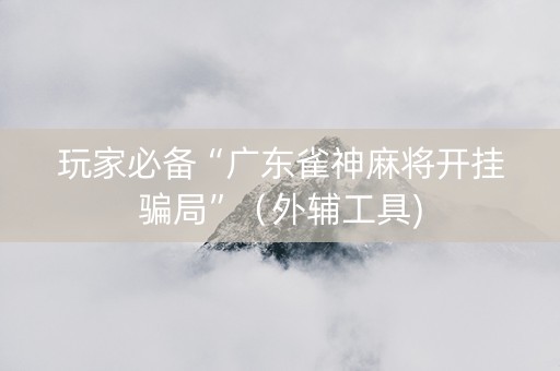 玩家必备“广东雀神麻将开挂骗局”（外辅工具)