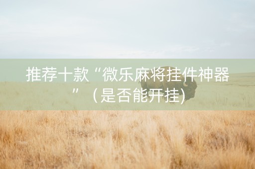 推荐十款“微乐麻将挂件神器”（是否能开挂)