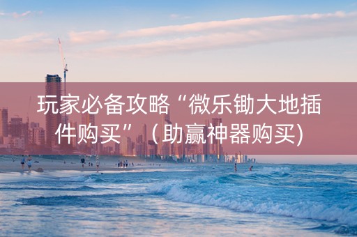 玩家必备攻略“微乐锄大地插件购买”（助赢神器购买)