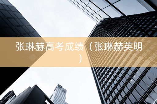 张琳赫高考成绩（张琳赫英明）