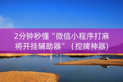 2分钟秒懂“微信小程序打麻将开挂辅助器”（控牌神器)