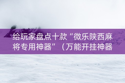 给玩家盘点十款“微乐陕西麻将专用神器”（万能开挂神器)