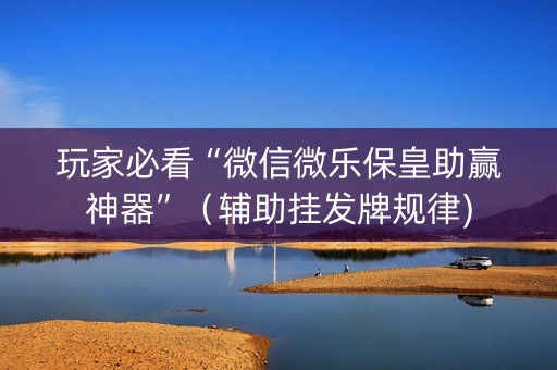 玩家必看“微信微乐保皇助赢神器”（辅助挂发牌规律)