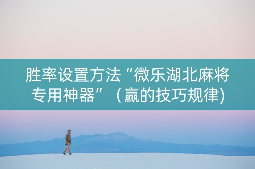 胜率设置方法“微乐湖北麻将专用神器”（赢的技巧规律)