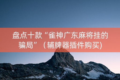 盘点十款“雀神广东麻将挂的骗局”（辅牌器插件购买)