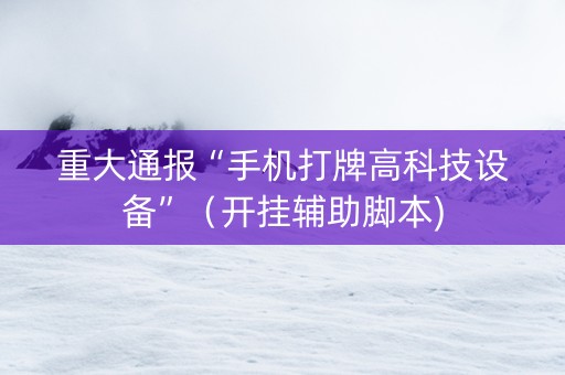 重大通报“手机打牌高科技设备”（开挂辅助脚本)