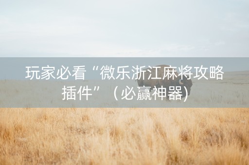 玩家必看“微乐浙江麻将攻略插件”（必赢神器)