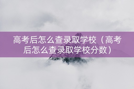 高考后怎么查录取学校（高考后怎么查录取学校分数）