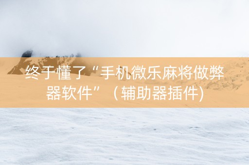 终于懂了“手机微乐麻将做弊器软件”（辅助器插件)
