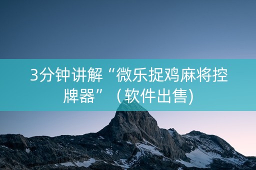 3分钟讲解“微乐捉鸡麻将控牌器”（软件出售)