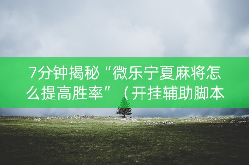 7分钟揭秘“微乐宁夏麻将怎么提高胜率”（开挂辅助脚本)