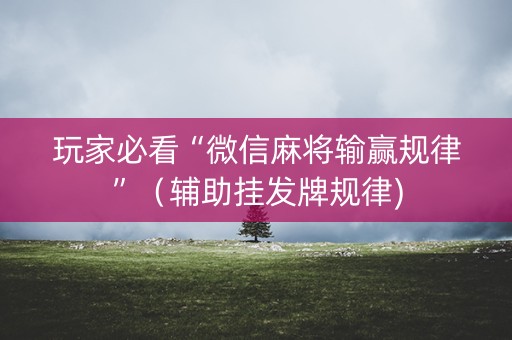 玩家必看“微信麻将输赢规律”（辅助挂发牌规律)