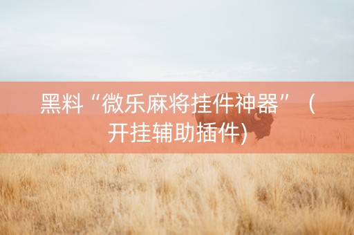 黑料“微乐麻将挂件神器”（开挂辅助插件)
